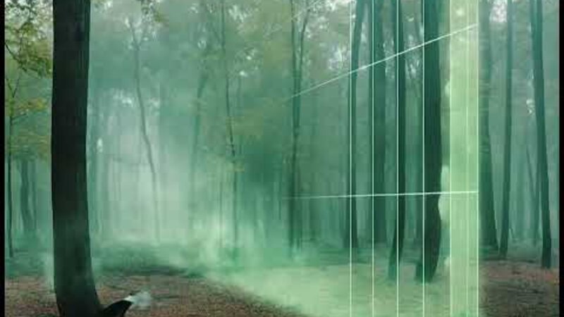 Fantasy Forest